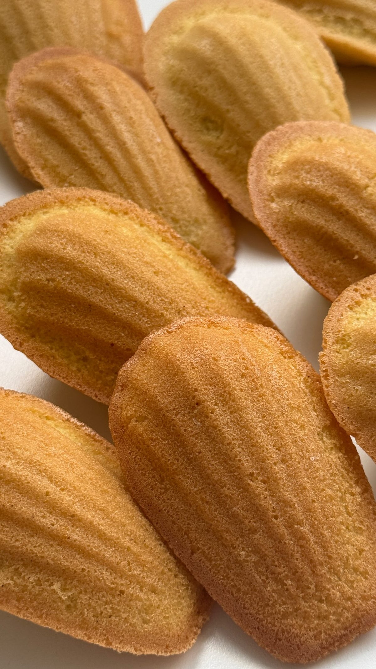 Madeleines Recipe