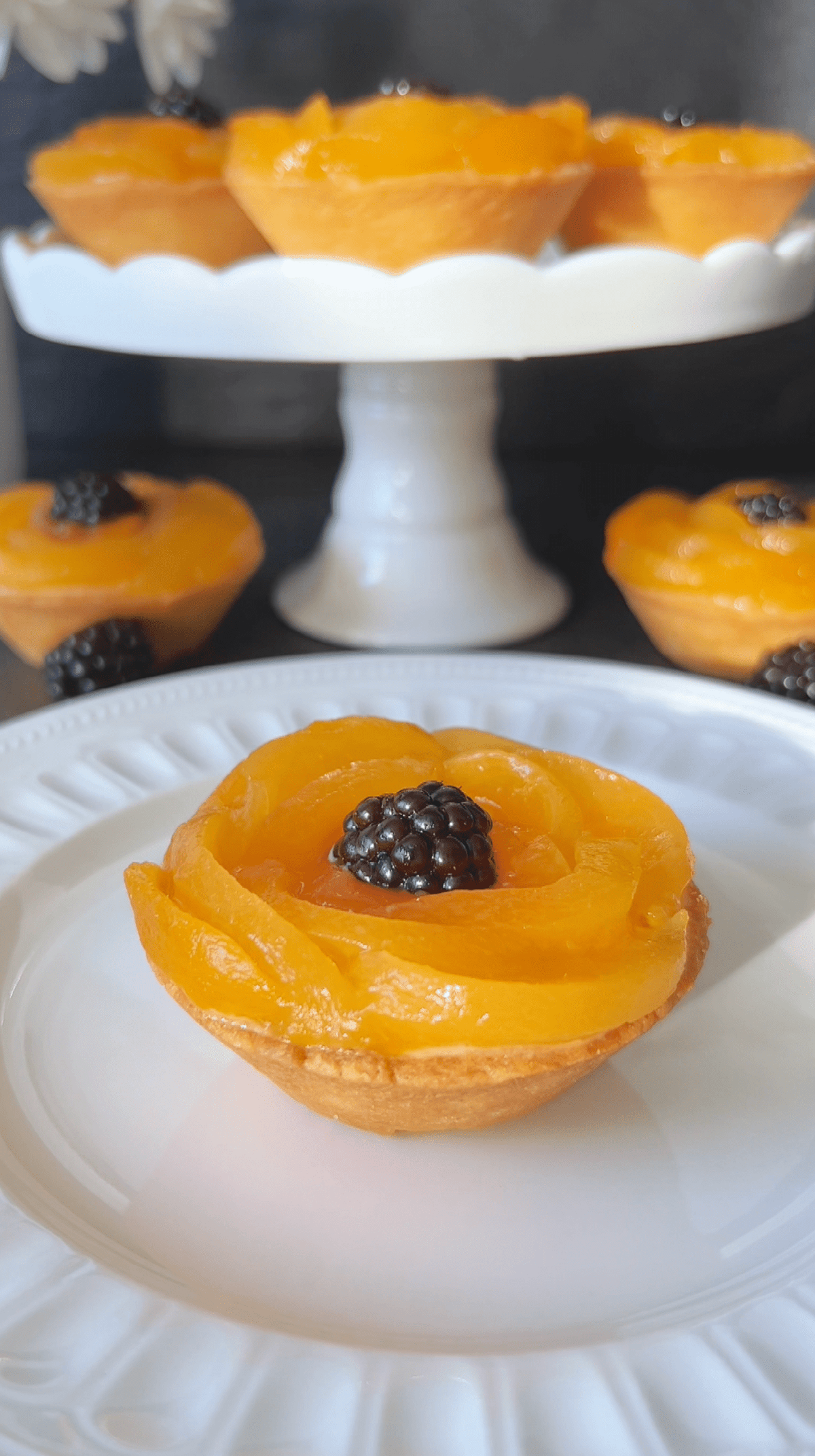 Apricot Tartelettes Recipe