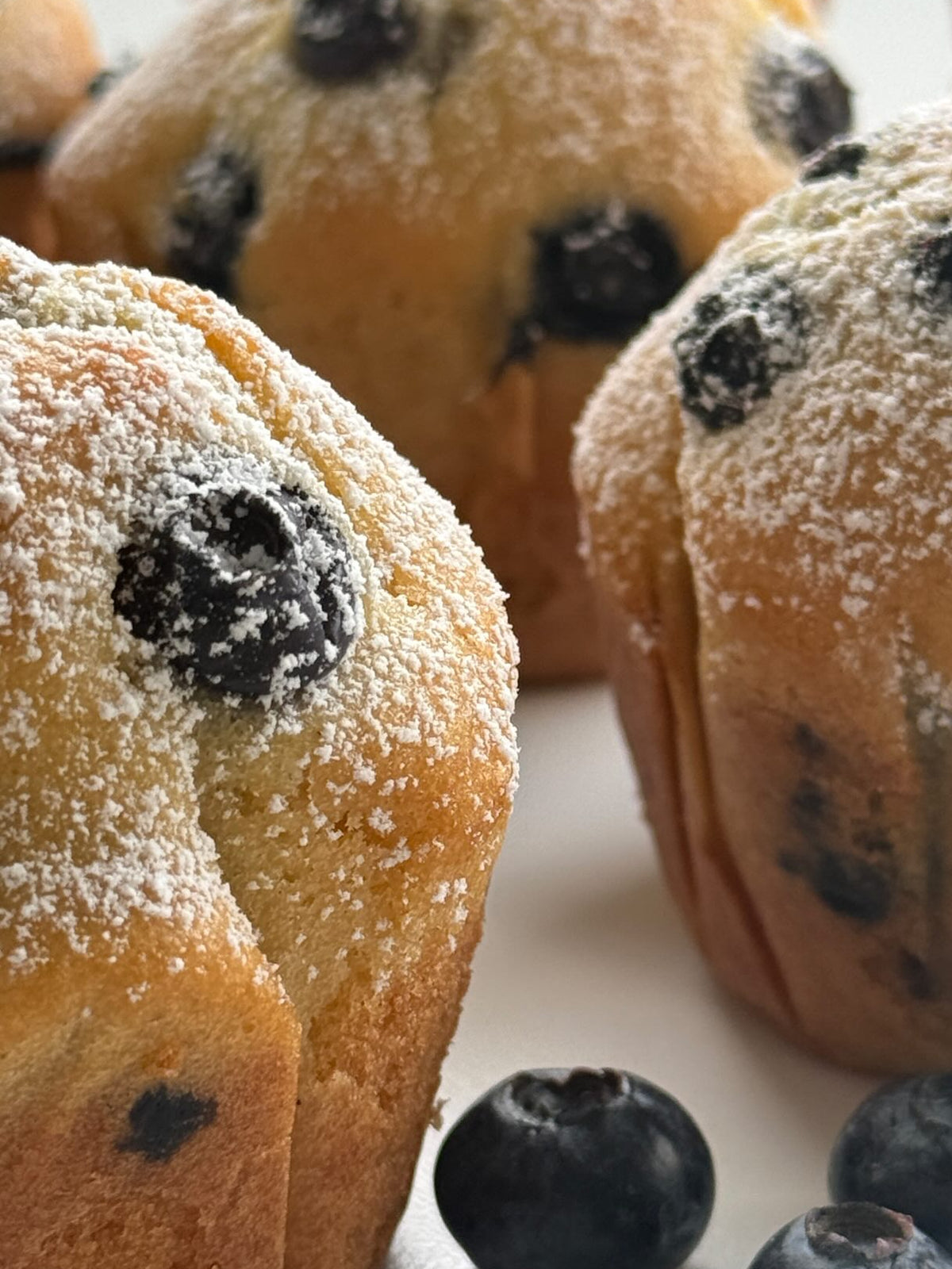 Lemon Blueberry Muffins von Food with Style, fertig angerichtet