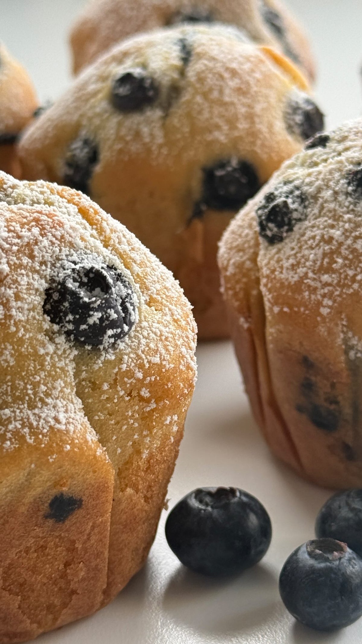 Lemon Blueberry Muffins von Food with Style, fertig angerichtet