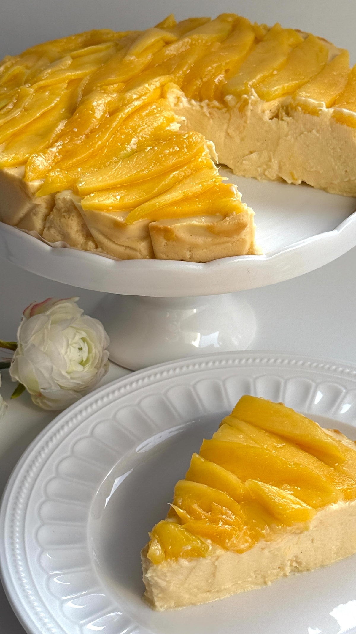 Mango Cheesecake von Food with Style, fertig angerichtet