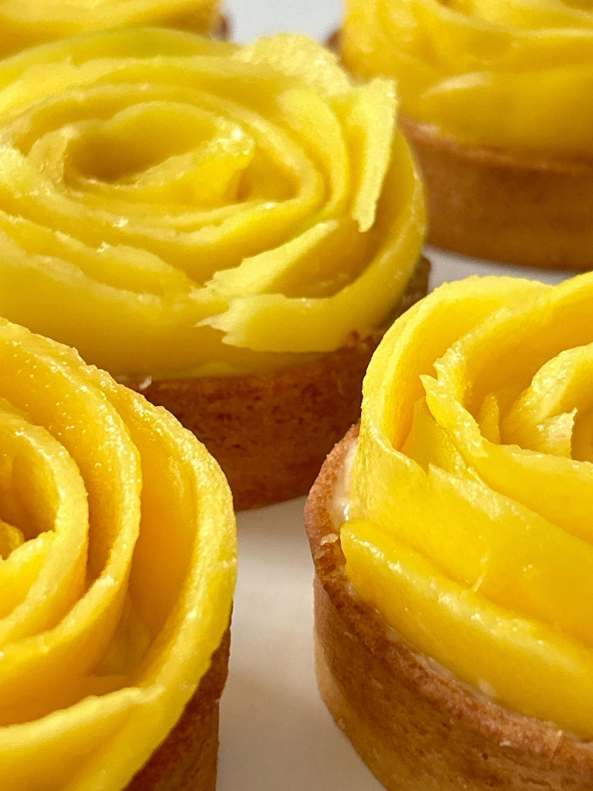 Mango Kokos Tartelettes