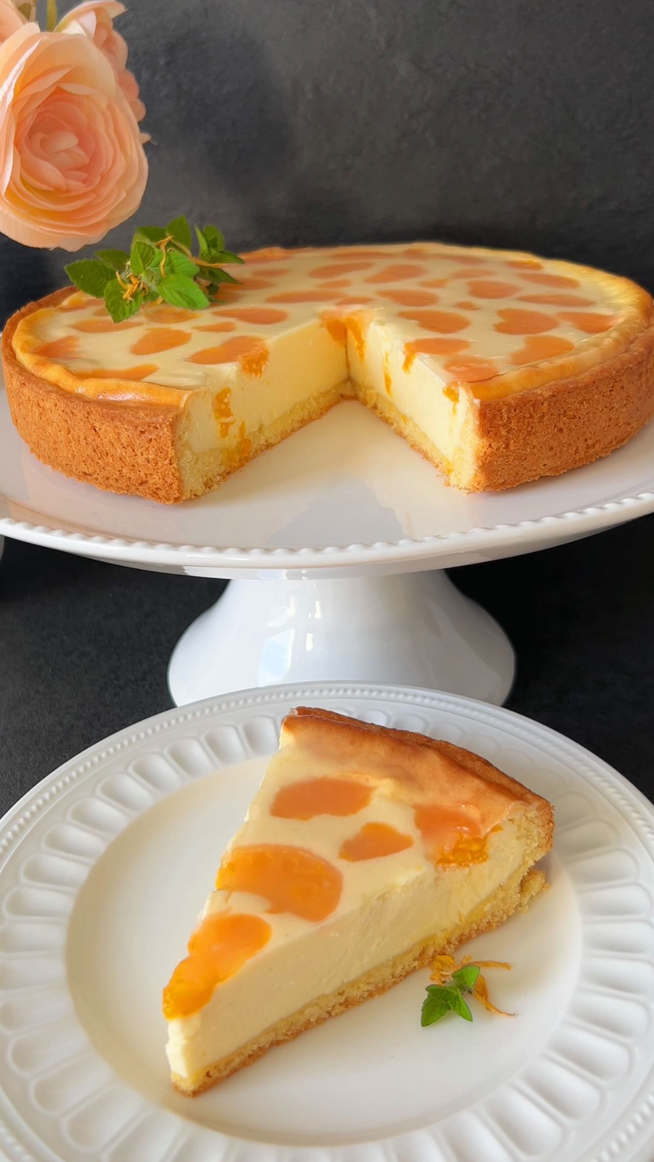 Tangerine Cheesecake Recipe